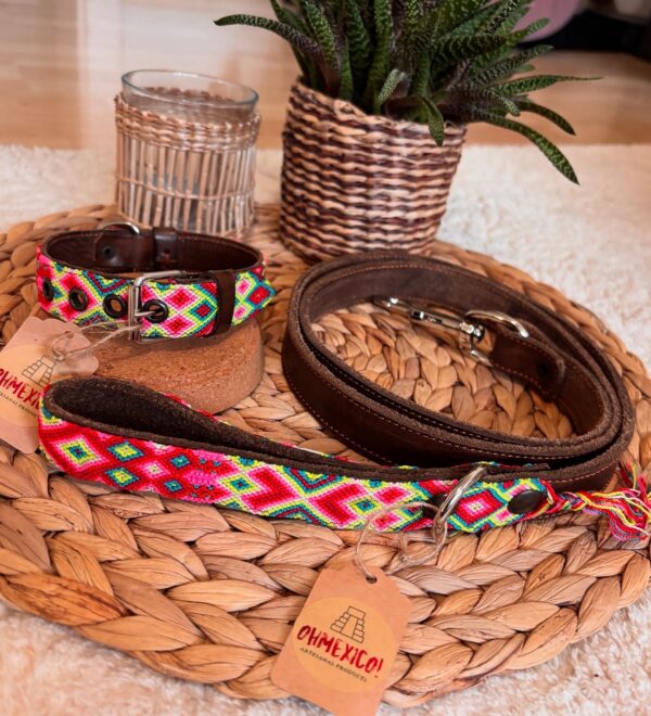 OHMEXICO! Hundehalsband+Leine Set – Bild 7