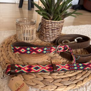 OHMEXICO! Hundehalsband+Leine Set