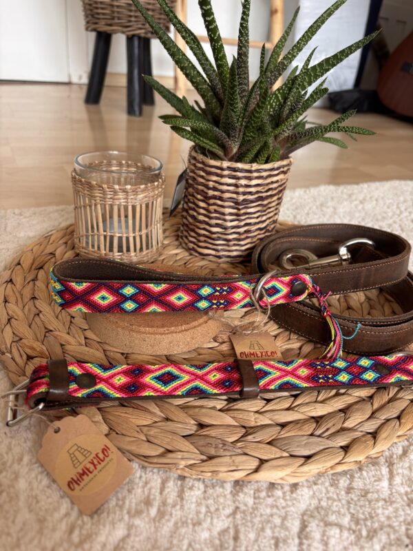 OHMEXICO! Hundehalsband+Leine Set