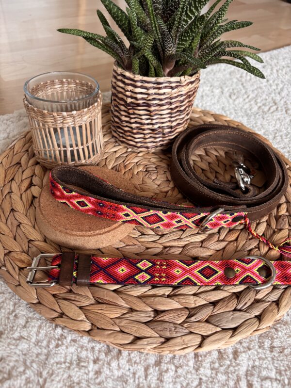 OHMEXICO! Hundehalsband+Leine Set – Bild 5