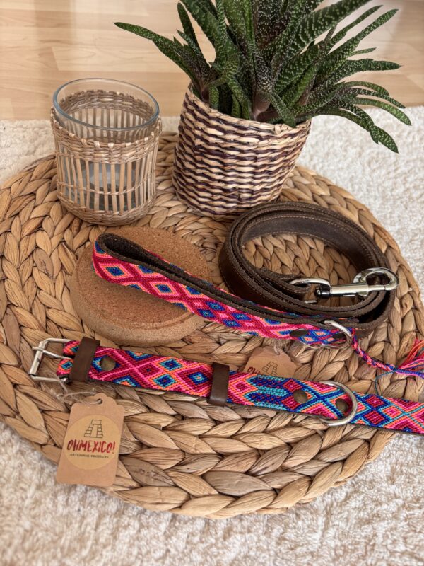 OHMEXICO! Hundehalsband+Leine Set – Bild 6